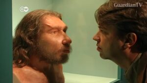 How-old-is-humankind