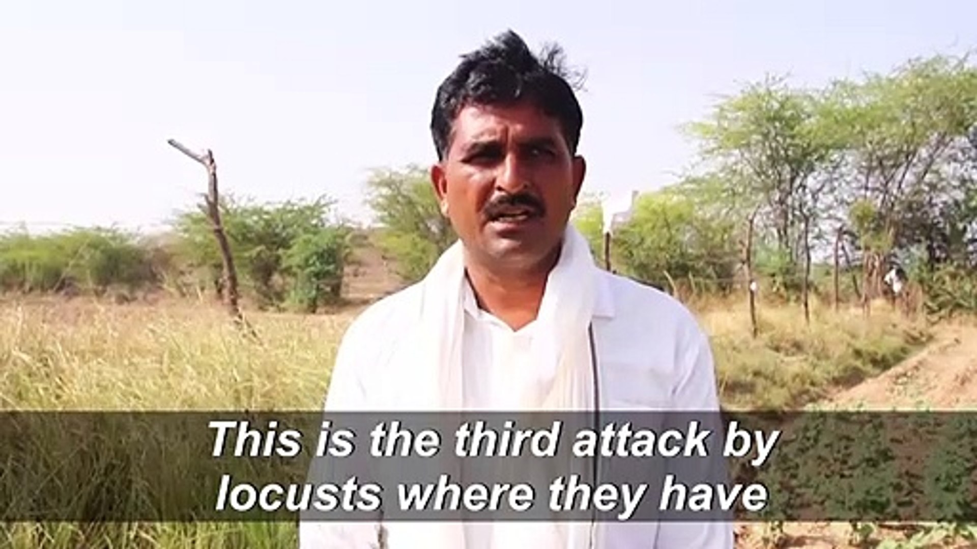 Indian-farmers-battle-huge-locust-invasion