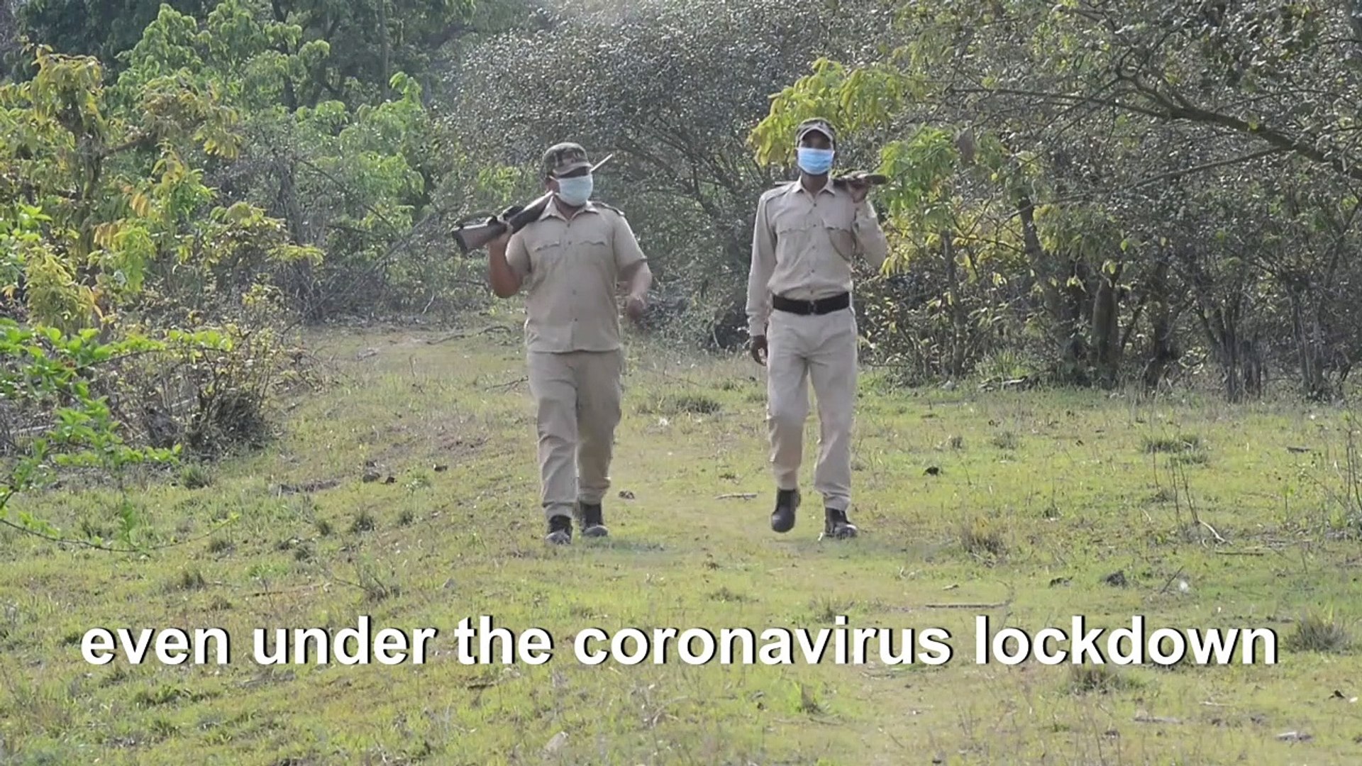 Indian-wildlife-sanctuary-on-guard-against-poachers-amid-virus-lockdown