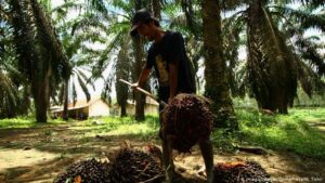 Indonesia-files-WTO-lawsuit-against-EU-over-palm-oil-biofuels