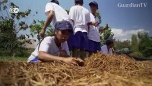 Indonesia-matchstick-factory-fire-kills-dozens-of-people
