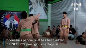 Indonesian-martial-art-pencak-silat-gets-UNESCO-heritage-status