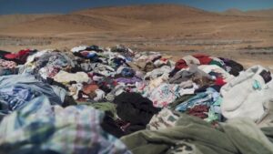 International-Day-of-Zero-Waste