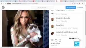 Internet-pays-tribute-to-Grumpy-Cat