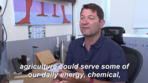 Israeli-scientists-produce-energy-from-plants