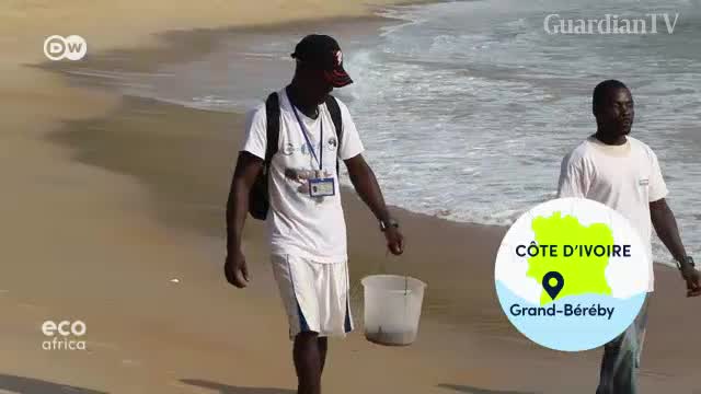 Ivory-Coast-collaborating-to-protect-turtles