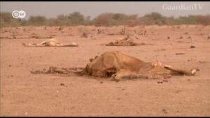 June-was-Europes-hottest-ever-EU-satellite-agency-says