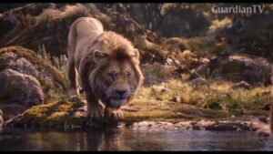 KING