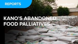 Kano-palliatives-Thumb