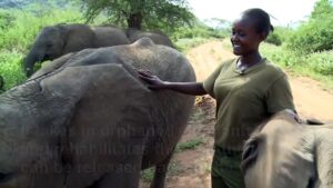 Kenya-elephant-sanctuary-takes-lead-in-hiring-women