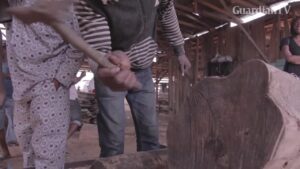 LOG