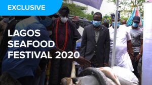 LSF_2020_Thumbnail