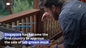 Lab-grown-meat-to-go-on-sale-in-Singapore-in-world-first