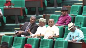 Lawmaker-accuses-FG-of-usurping-its-powers-borrowing-money-without-NAssembly-approval