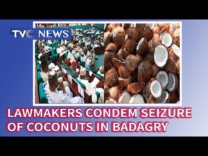 Lawmakers-condemn-customs-seizure-of-coconuts-in-Badagry