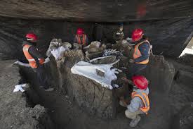 Mammoth-bones-discovered-at-Mexico-City-airport-construction-site