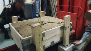 Man-finds-gold-coins-in-Germany-but-reward-unlikely