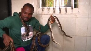 Meet-Nigerias-snake-man