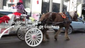 Montreal-horse-drawn-carriages-take-one-last-lap