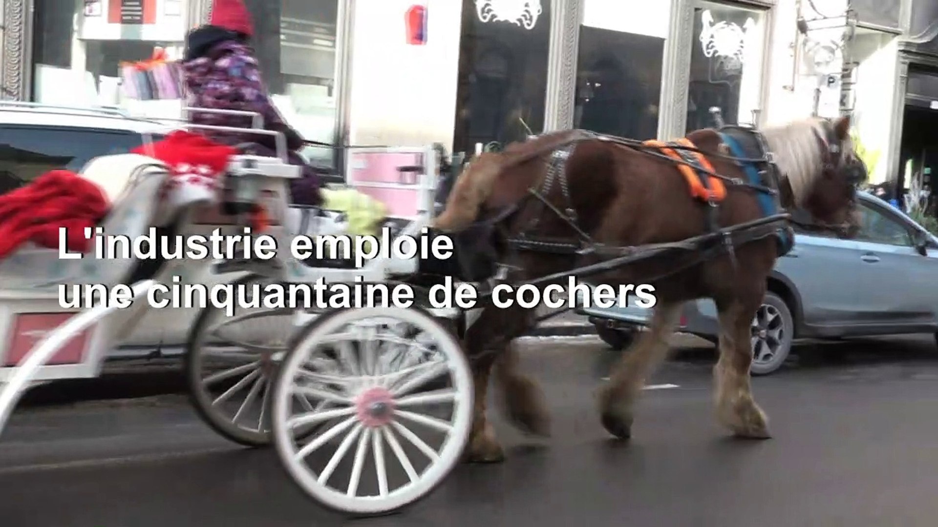 Montreal-horse-drawn-carriages-take-one-last-lap