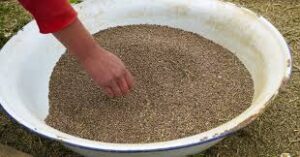 Morocco-begins-to-market-products-made-from-legal-cannabis