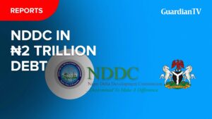 NDDC-In-N2tn-debt_Thumbnail