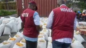 NDLEA-arrests-21-suspected-drug-abusers-in-Adamawa