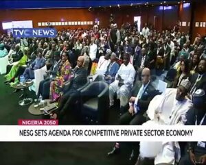 NESG-sets-agenda-for-competitive-Private-sector
