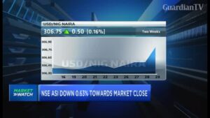 NSE-reverses-gains-as-macro-concerns-persist