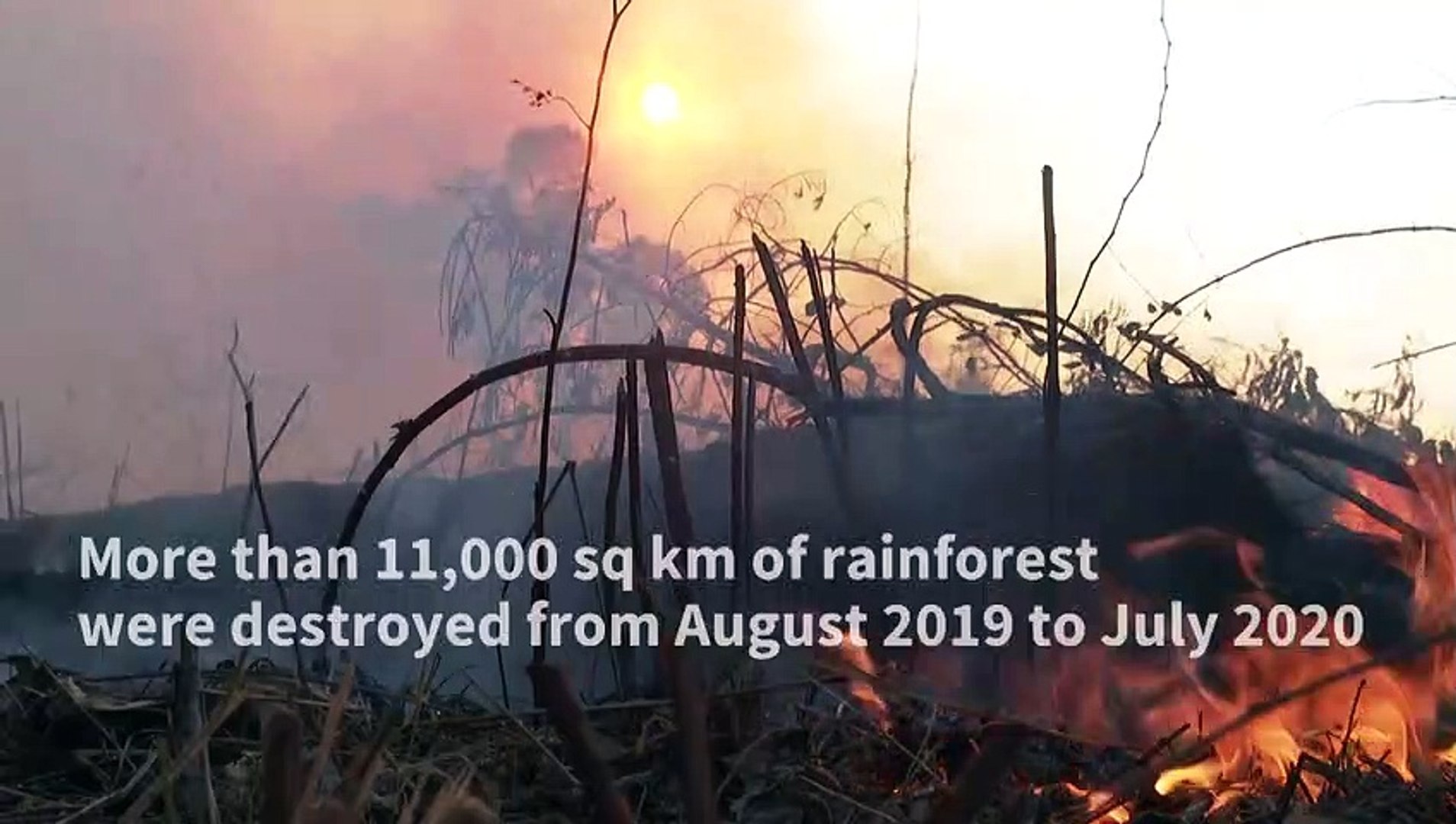New-record-for-deforestation-in-the-Brazilian-Amazon-in-12-years