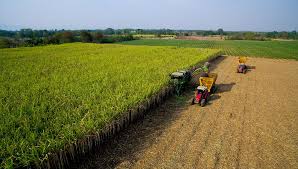 New-technology-introduced-to-rice-farmers-to-boost-production