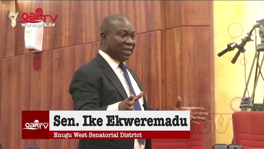 Nigeria needs to admit it can’t manage illegal mining – Ekweremadu