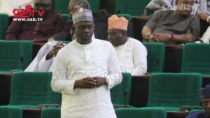 Nigerian-governors-approve-parliamentary-debates-for-State-Assemblies-Lawmaker-alleges