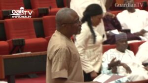 Nigeriangovtconsolidatingpovertywith2019budgetsaysSenatorAbaribemp4_1553504282-720pHLS-00011