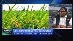 Nigerias-agricultural-sector-performance-review