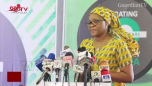 Nigerias-democracy-yet-to-yield-dividends-CDD