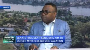 Nigerias-new-cabinet-Who-should-make-the-cut