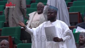 No-country-can-survive-without-borrowing-but…-Rep-Gagdi-Yusuf