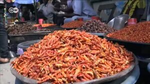 No-end-in-sight-to-Nigerias-border-closures