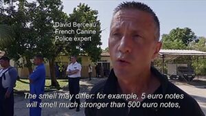France-trains-Cuban-dogs-in-the-art-of-sniffing-cash