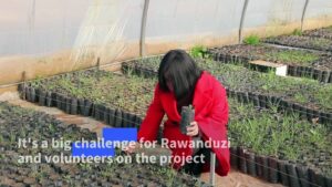 Oak-trees-take-root-in-Iraqi-Kurdistan-to-help-climate