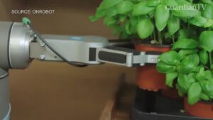 OnRobot-Grippers-Package-Plants-in-Danish-Greenhouse