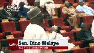 Our-analogue-lawmakers-should-be-updated-digitally-Dino-Melaye