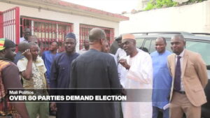 Parties-and-NGOs-demand-Mali-elections