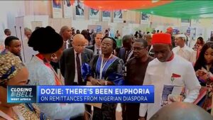 Pascal-Dozie-Nigeria-needs-policies-that-attracts-its-diaspora-population