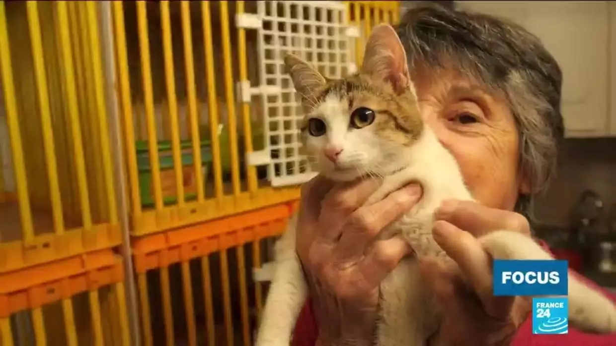 Pet-adoption-in-times-of-lockdown