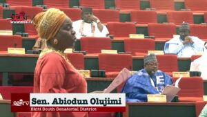 Prominent-men-involved-in-Kogi-election-violence-should-be-brought-to-book-says-Sen.-Olujimi