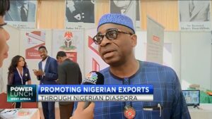 Promoting-Nigerian-exports-through-Nigerian-diaspora