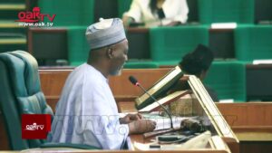 Provide-geological-records-of-gold-deposits-in-Nigeria-Reps-tell-Ministry