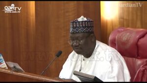 Provide-relief-materials-to-victims-of-militia-attack-Senate-tells-NEMA